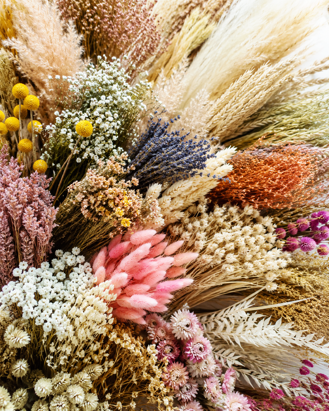 Wholesale Dried Flowers
