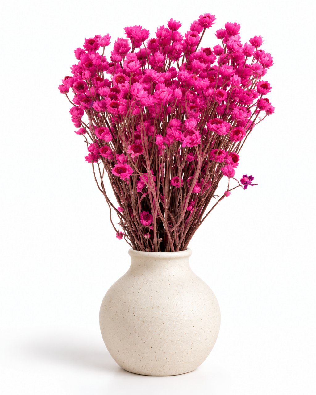 Stabilized Lavender Ammobium Bouquet 45-50cm - Dried Lilac Flowers