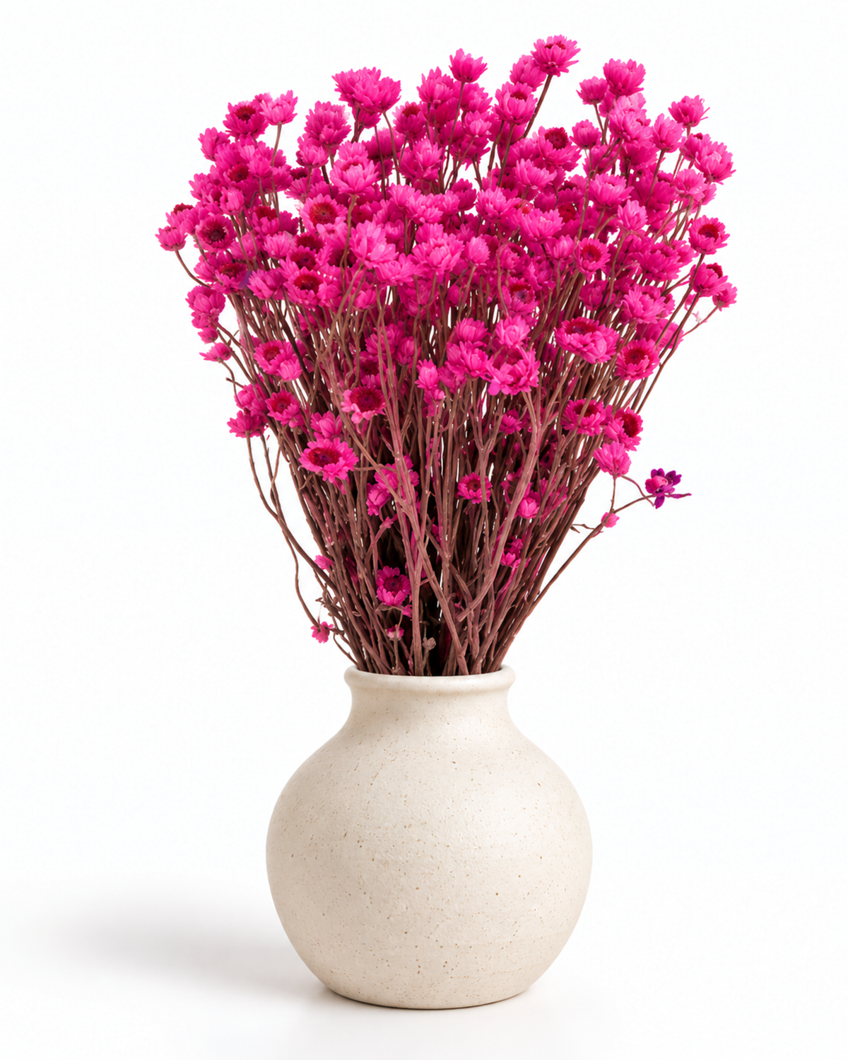 Stabilized Lavender Ammobium Bouquet 45-50cm - Dried Lilac Flowers