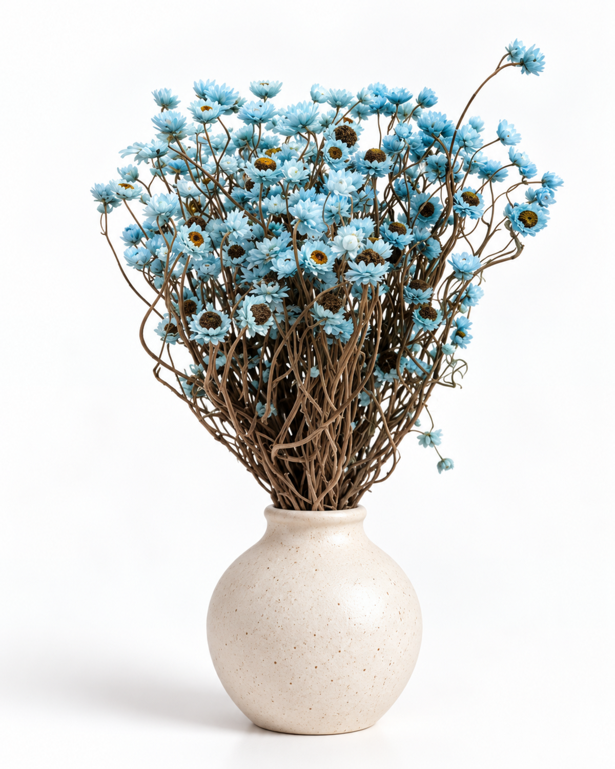 Ramo de Ammobium Branco Estabilizado 45-50cm - Decoração de Flores Secas para Vaso