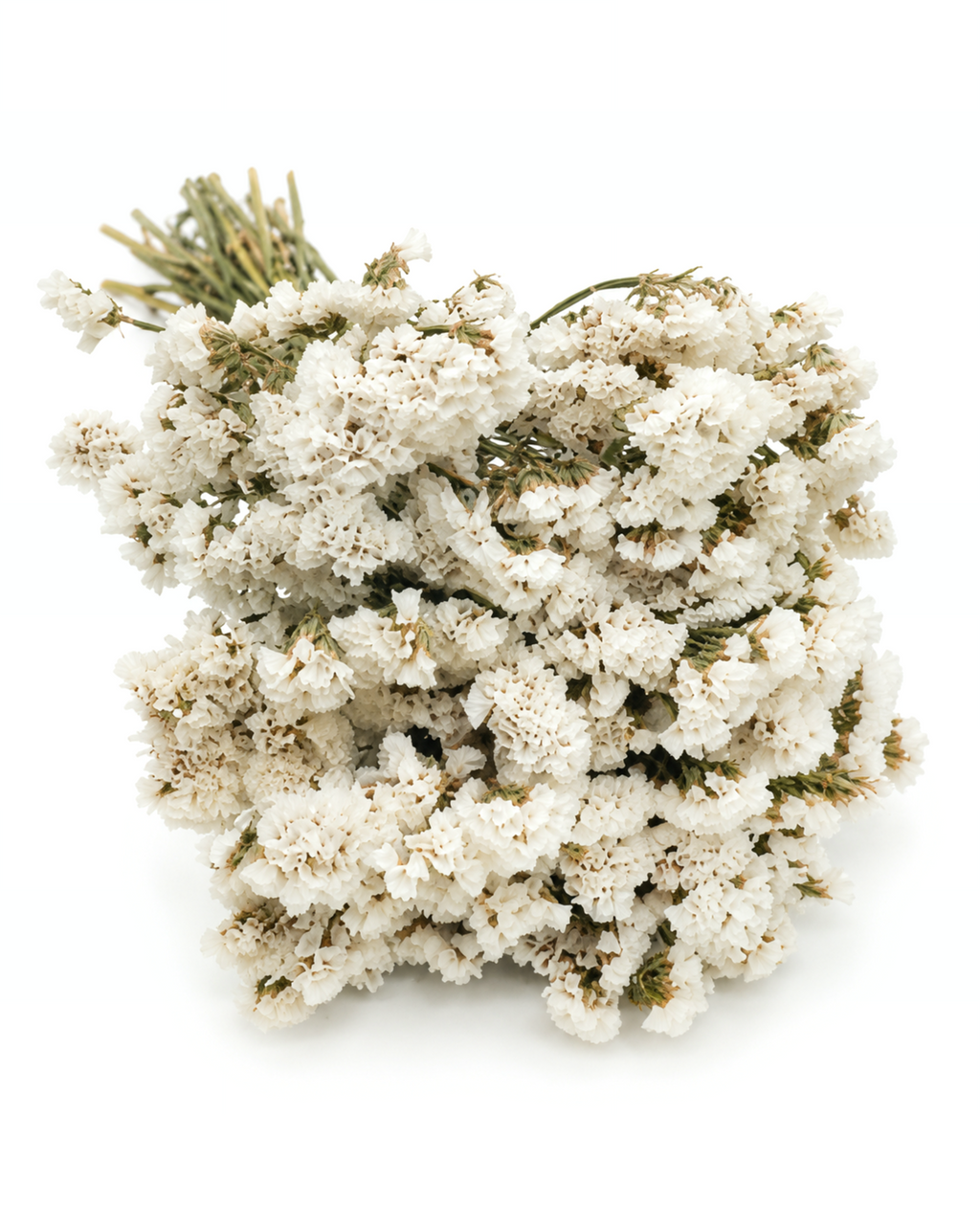 Dried White Statice Bunch 100g (45-50cm) - Limonium Floral Stems
