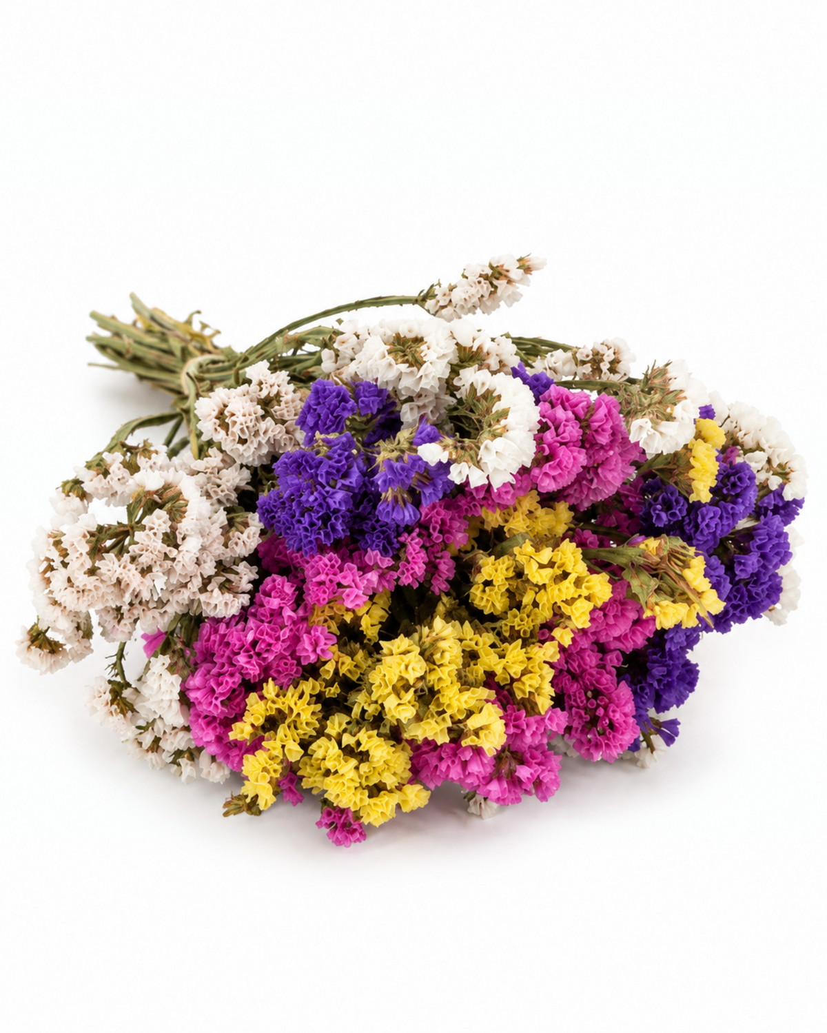 Dried Statice Stems - Colour Mix Premium Limonium Bunch (130-150g)