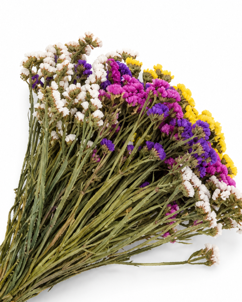 Dried Statice Stems - Colour Mix Premium Limonium Bunch (130-150g)