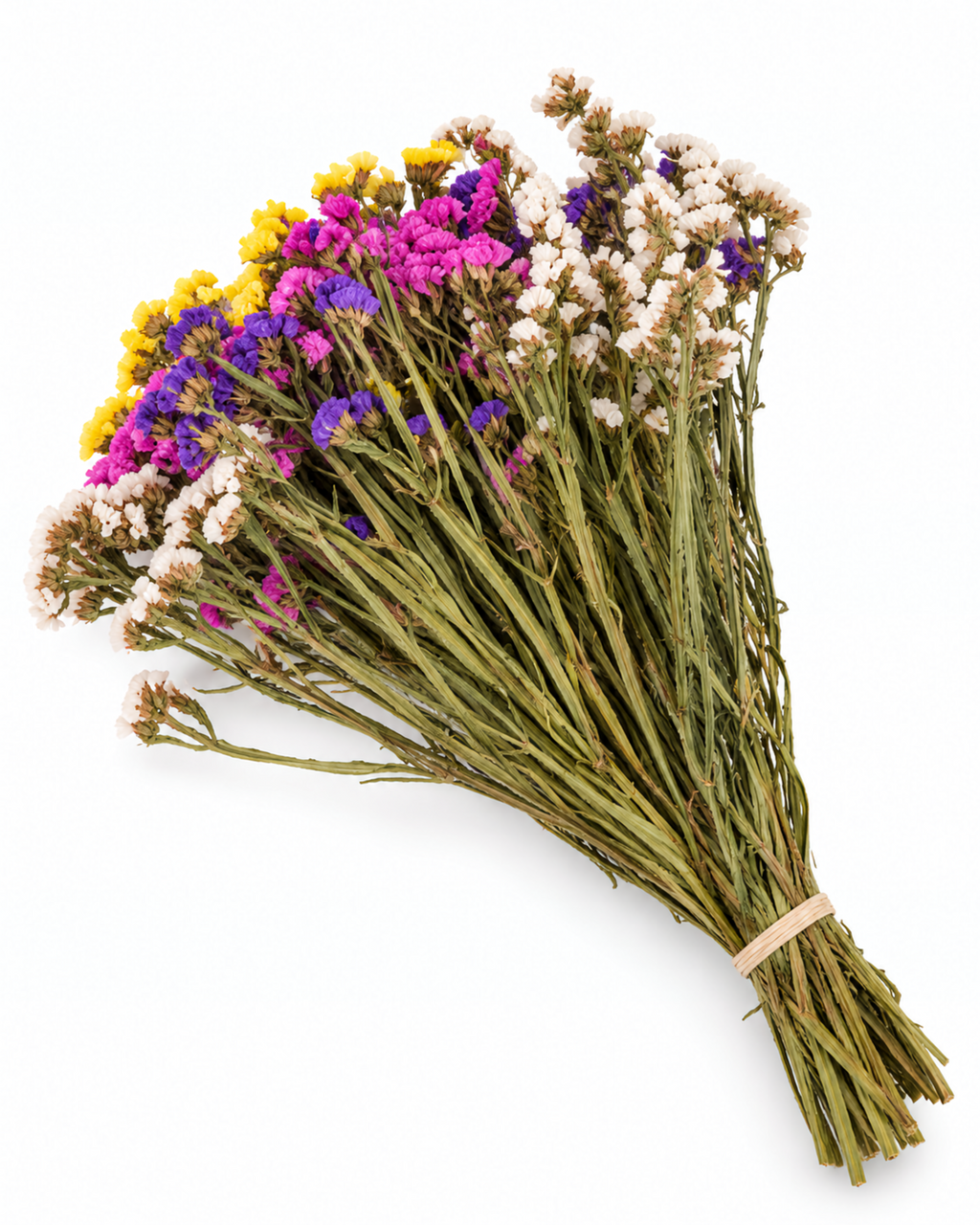 Dried Statice Stems - Colour Mix Premium Limonium Bunch (130-150g)
