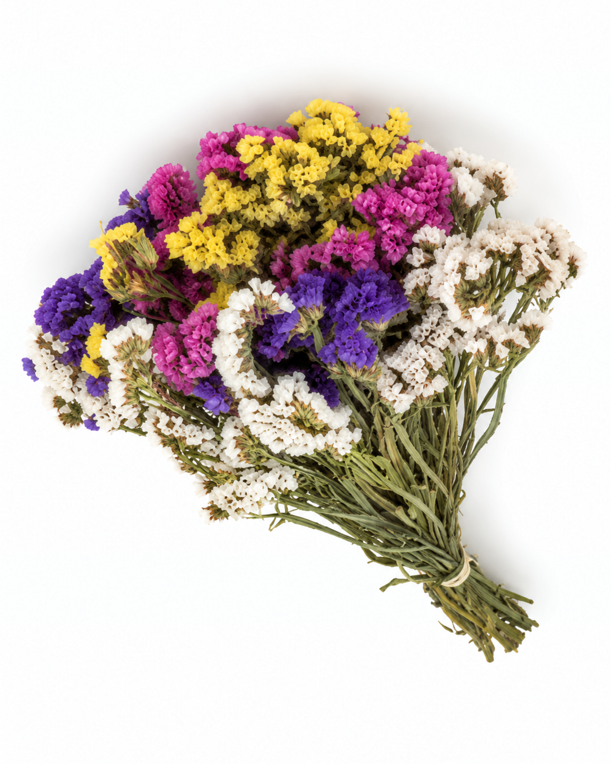 Dried Statice Stems - Colour Mix Premium Limonium Bunch (130-150g)
