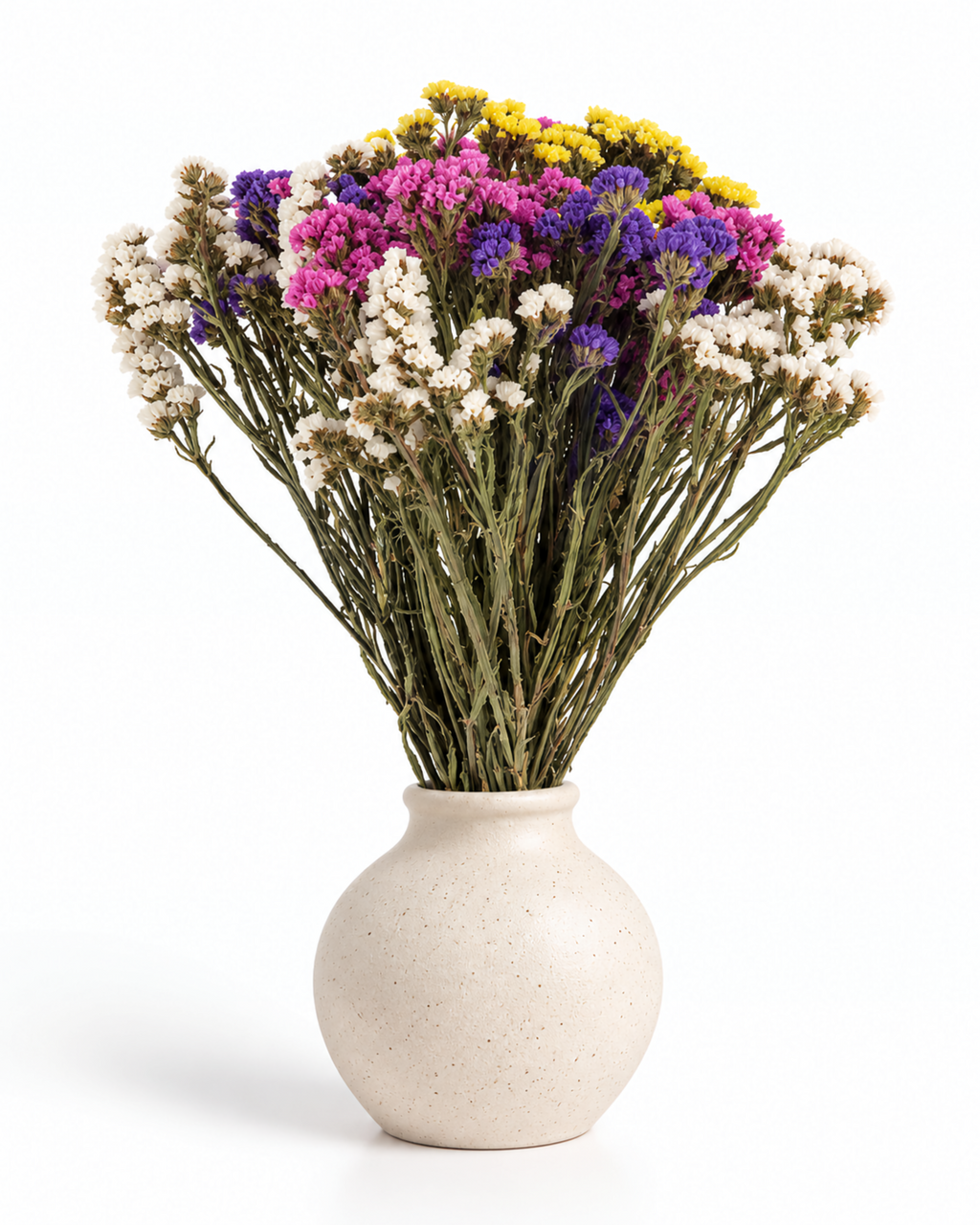 Dried Statice Stems - Colour Mix Premium Limonium Bunch (130-150g)