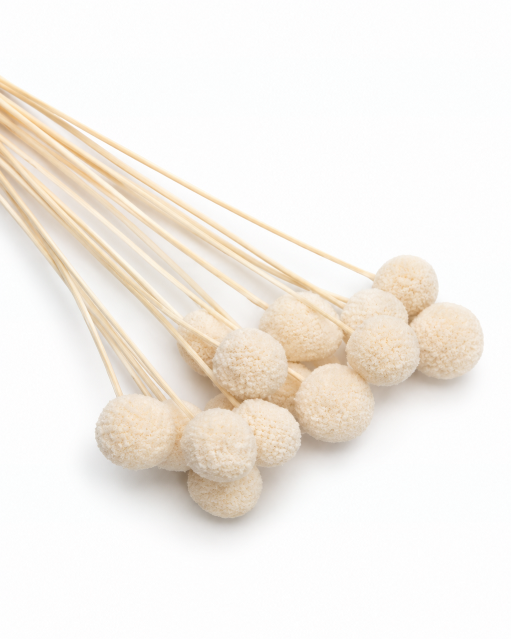 Dried Bleached Craspedia Stems - ~60cm Billy Balls Bunch (15 Stems)