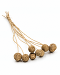 Gold Dried Craspedia - (Craspedia Extra) - 10 Stems / 55 cm