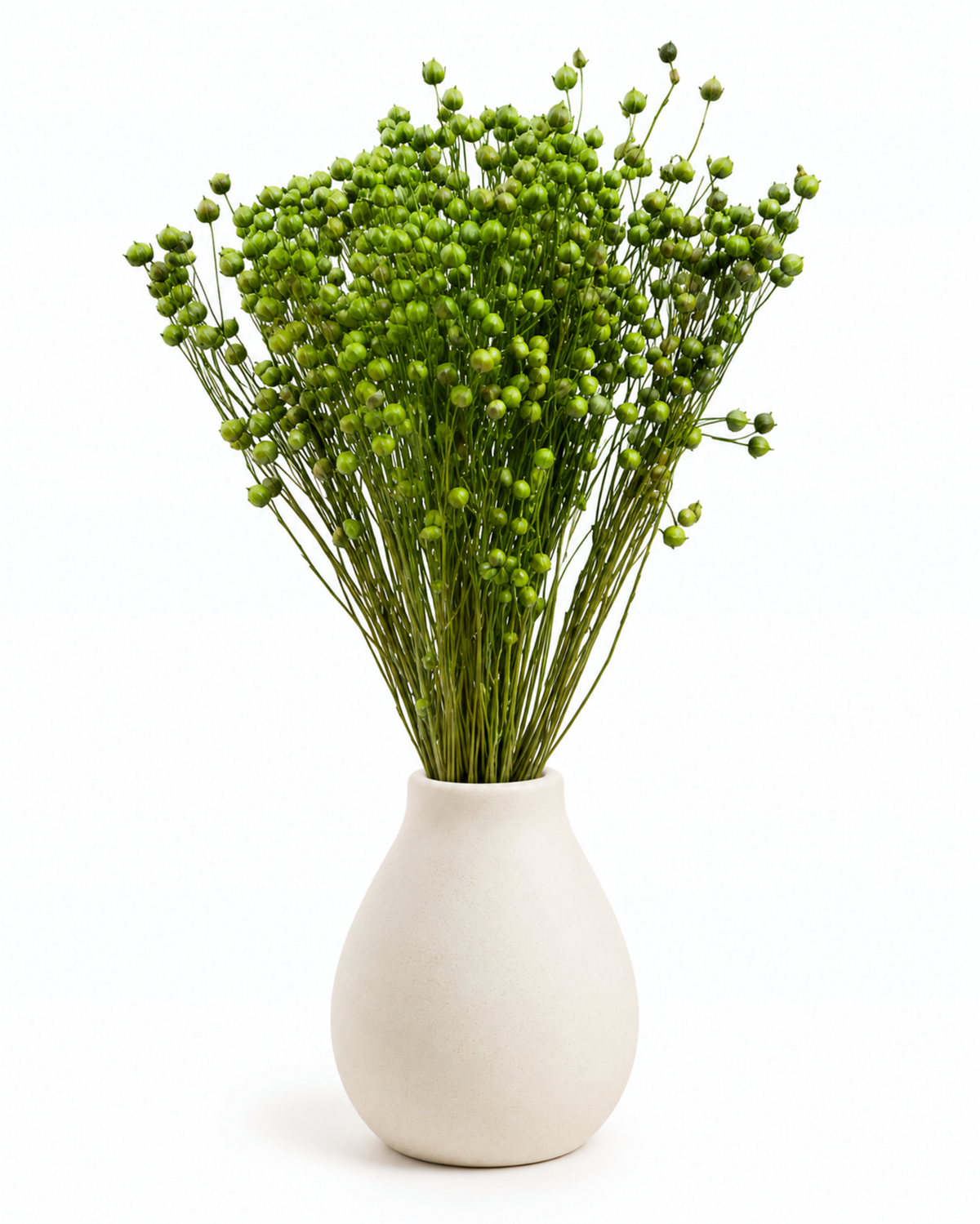Green Dried Flax Stems - Linum - 95 g / 40 cm