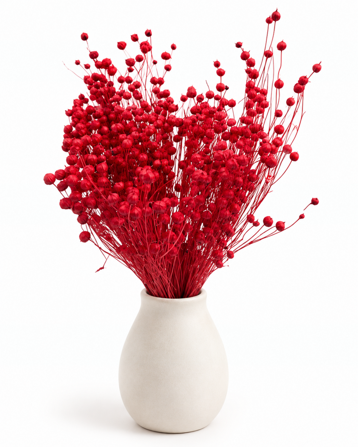 Red Dried Flax Stems - Linum - 95 g / 40 cm