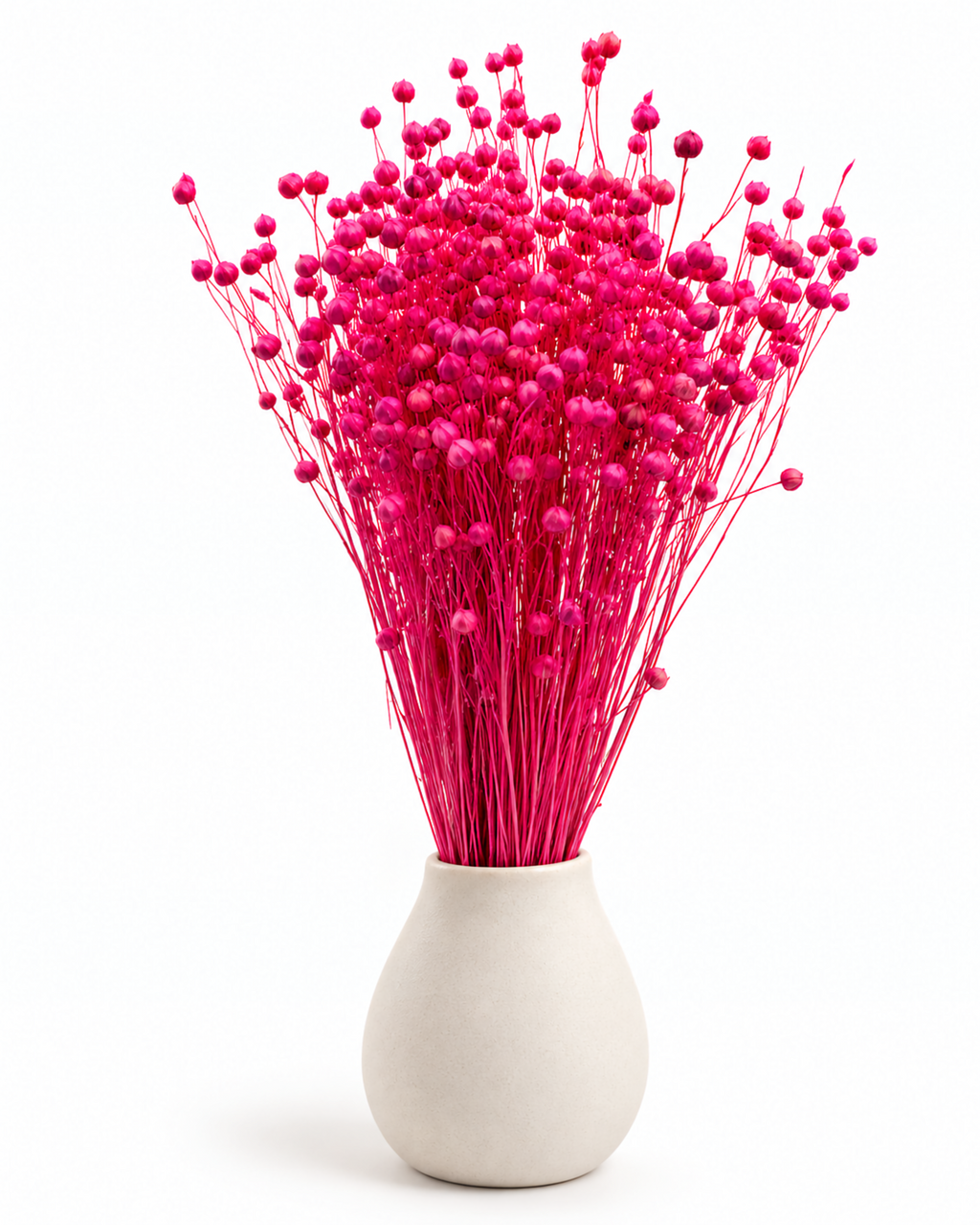 Fuchsia Dried Flax Stems - Linum - 95 g / 40 cm