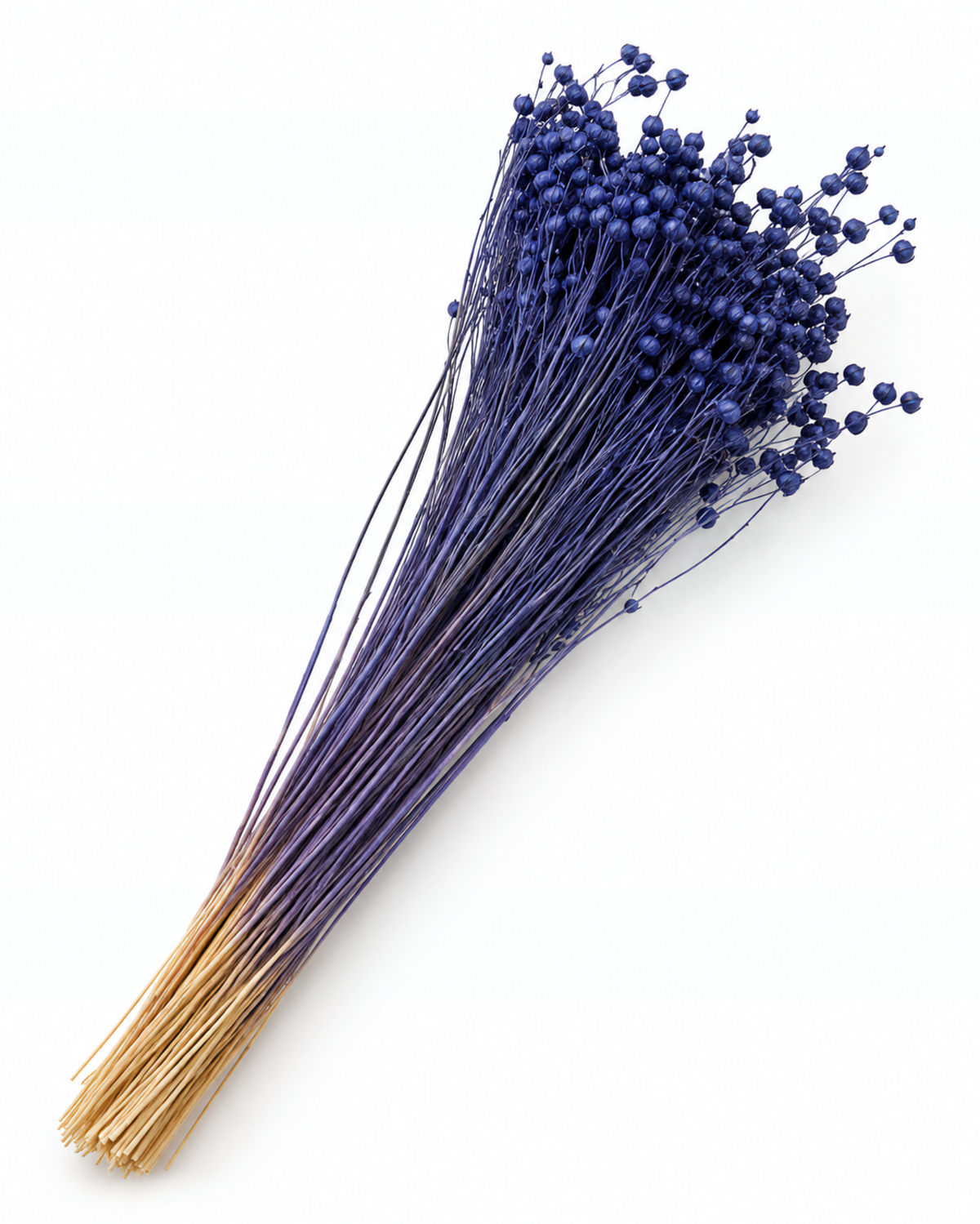 Navy Blue Dried Flax Stems - Linum - 95 g / 40 cm

Length: approx. 40 cm
Stem count: 150
Weight: approx. 95 g (depending on bou