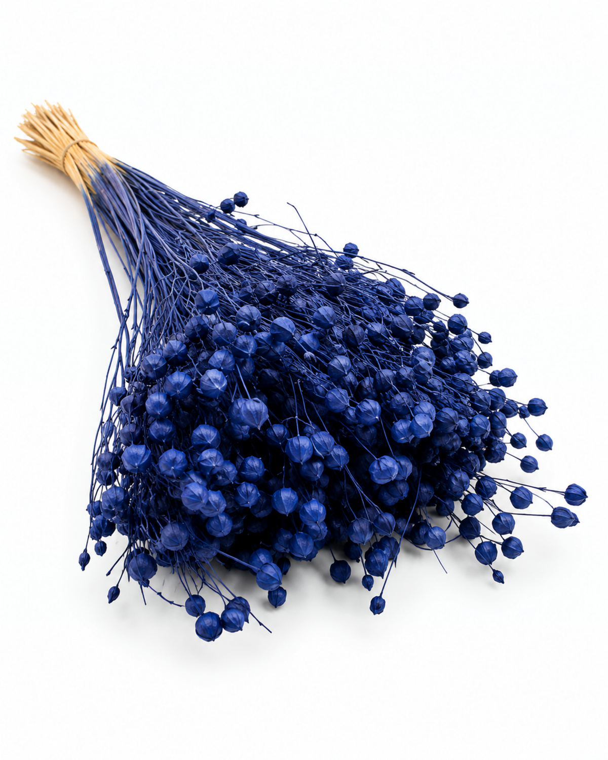 Navy Blue Dried Flax Stems - Linum - 95 g / 40 cm

Length: approx. 40 cm
Stem count: 150
Weight: approx. 95 g (depending on bou