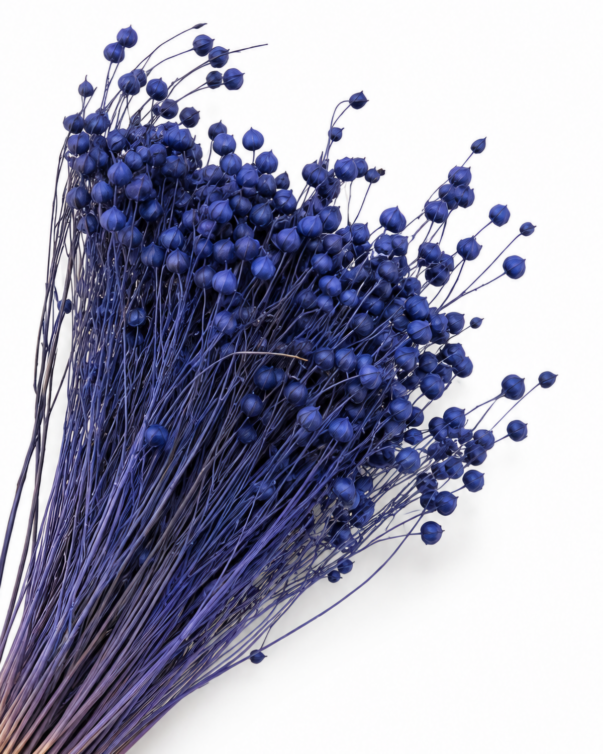 Navy Blue Dried Flax Stems - Linum - 95 g / 40 cm

Length: approx. 40 cm
Stem count: 150
Weight: approx. 95 g (depending on bou