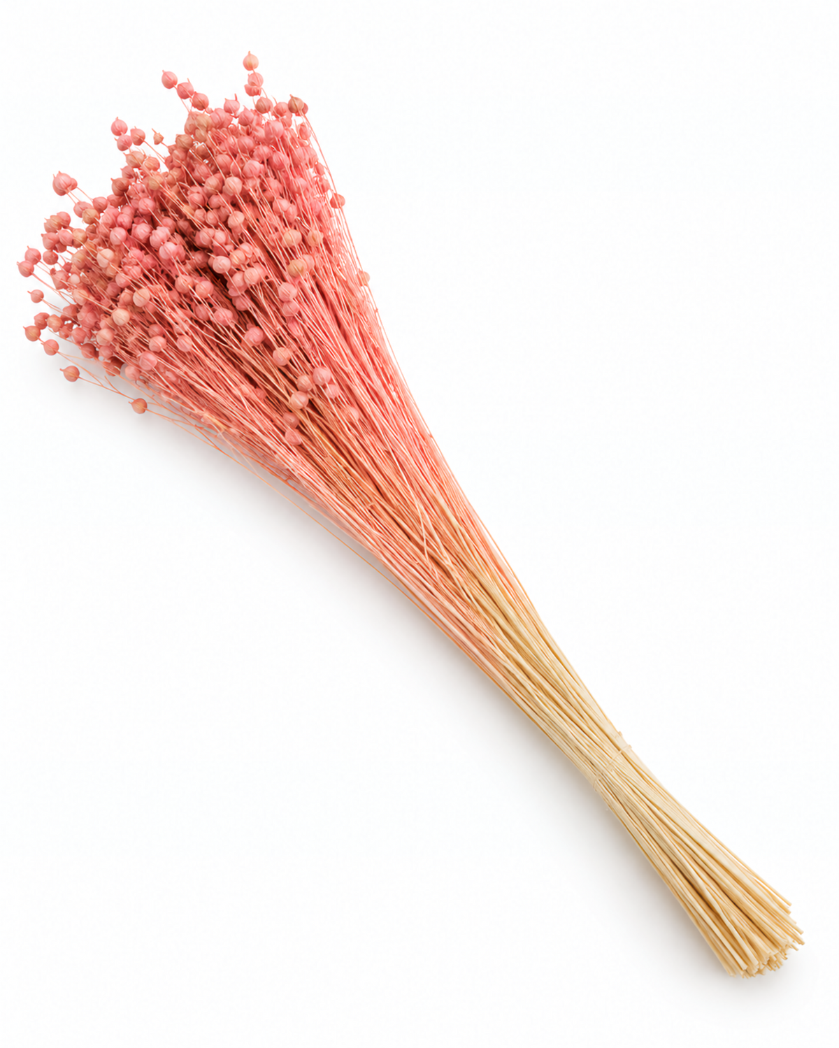 Light Pink Dried Flax Stems - Linum - 95 g / 40 cm
