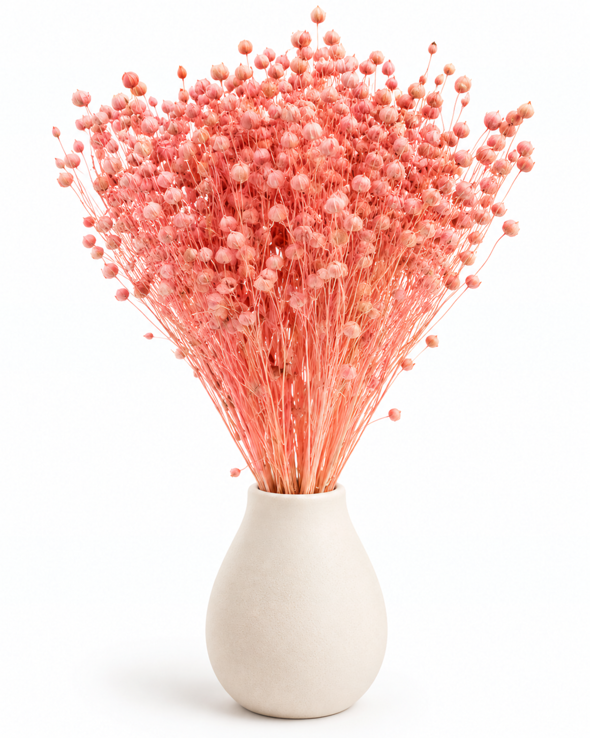 Light Pink Dried Flax Stems - Linum - 95 g / 40 cm