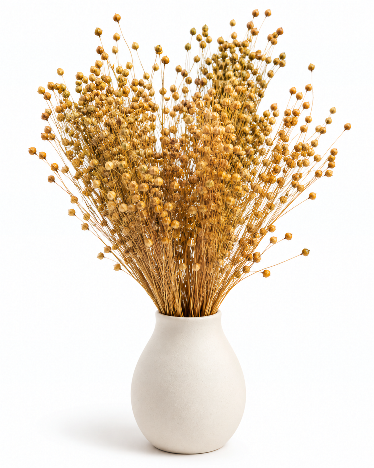 Natural Dried Flax Stems - Linum - 95 g / 40 cm