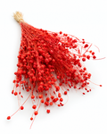 Orange Dried Flax Stems - Linum - 95 g / 40 cm
