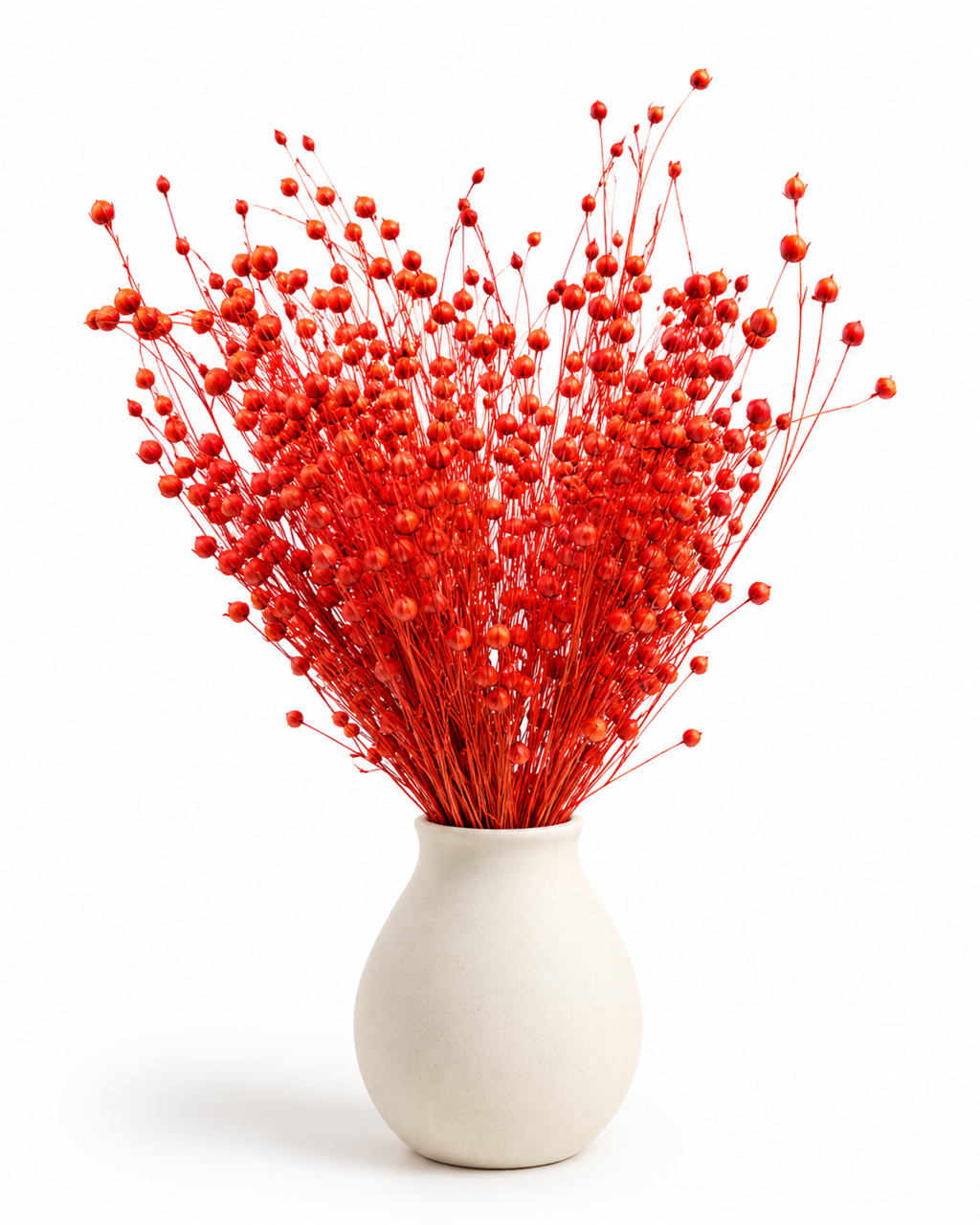 Orange Dried Flax Stems - Linum - 95 g / 40 cm