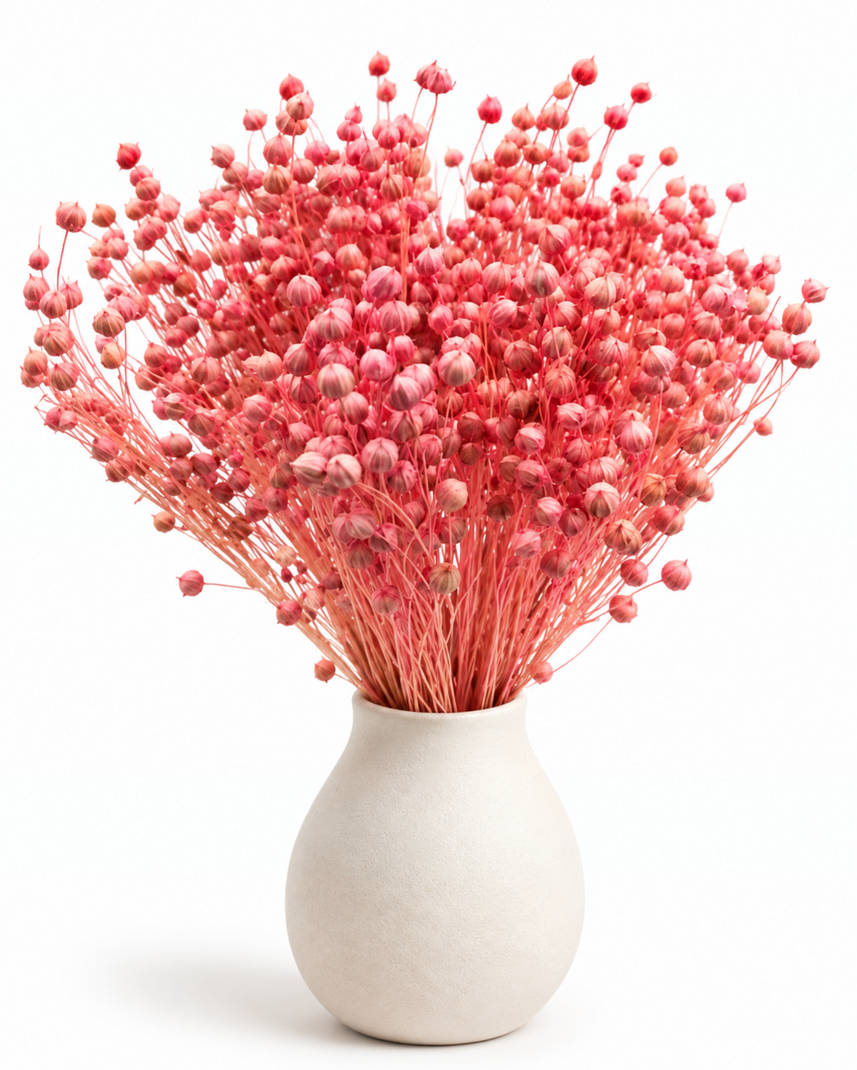 Pink Dried Flax Stems - Linum - 95 g / 40 cm