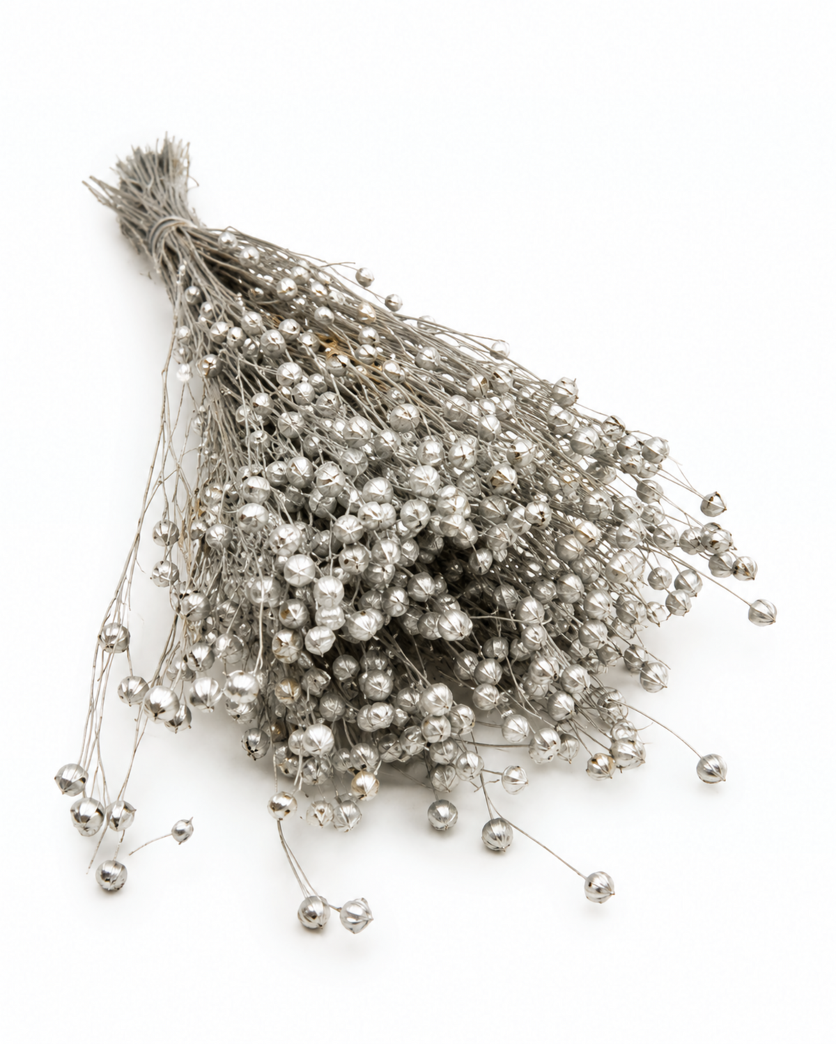 Silver Dried Flax Stems - Linum - 95 g / 40 cm