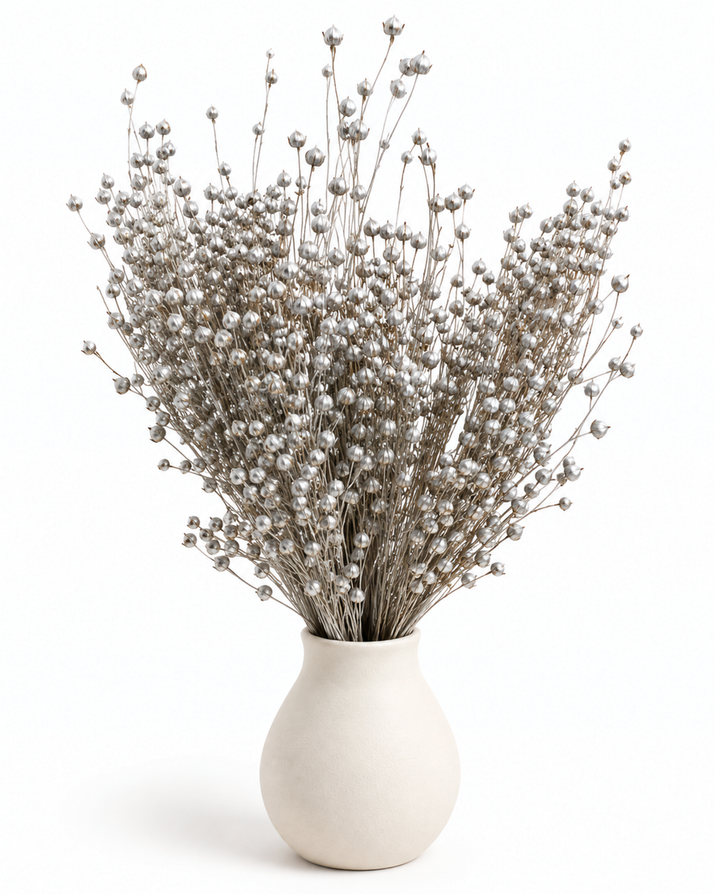 Silver Dried Flax Stems - Linum - 95 g / 40 cm