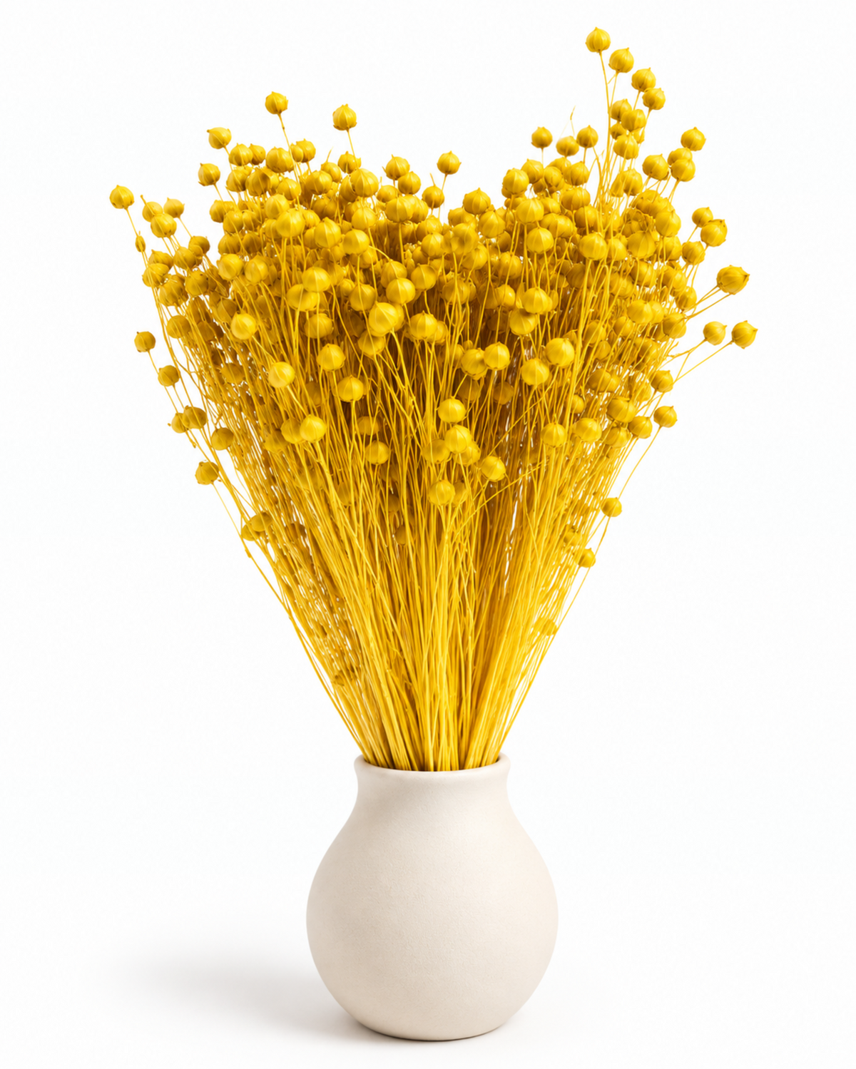 Yellow Dried Flax Stems - Linum - 95 g / 40 cm
