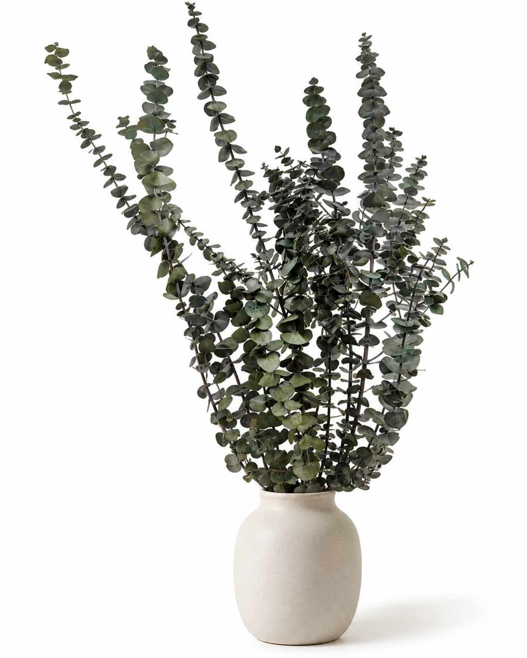 Preserved Green Foliage Branches