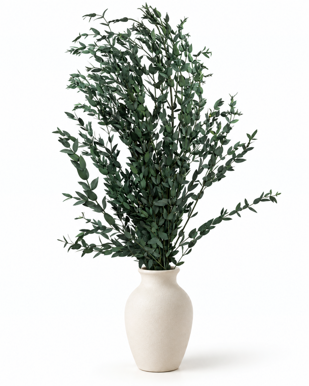 Preserved Greenery Bundle
