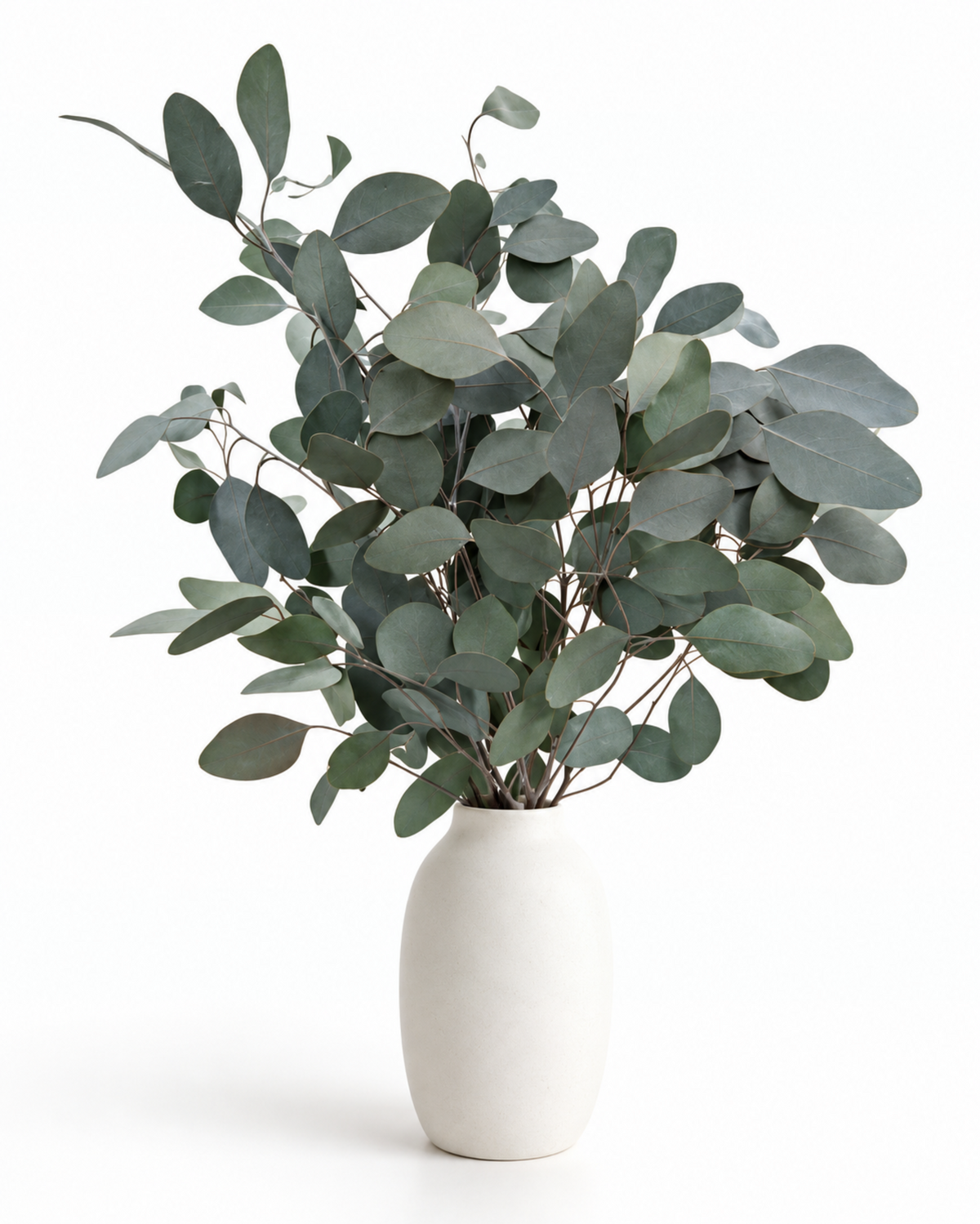 Preserved Populus Eucalyptus Stems - Green - 150 g / 60 cm