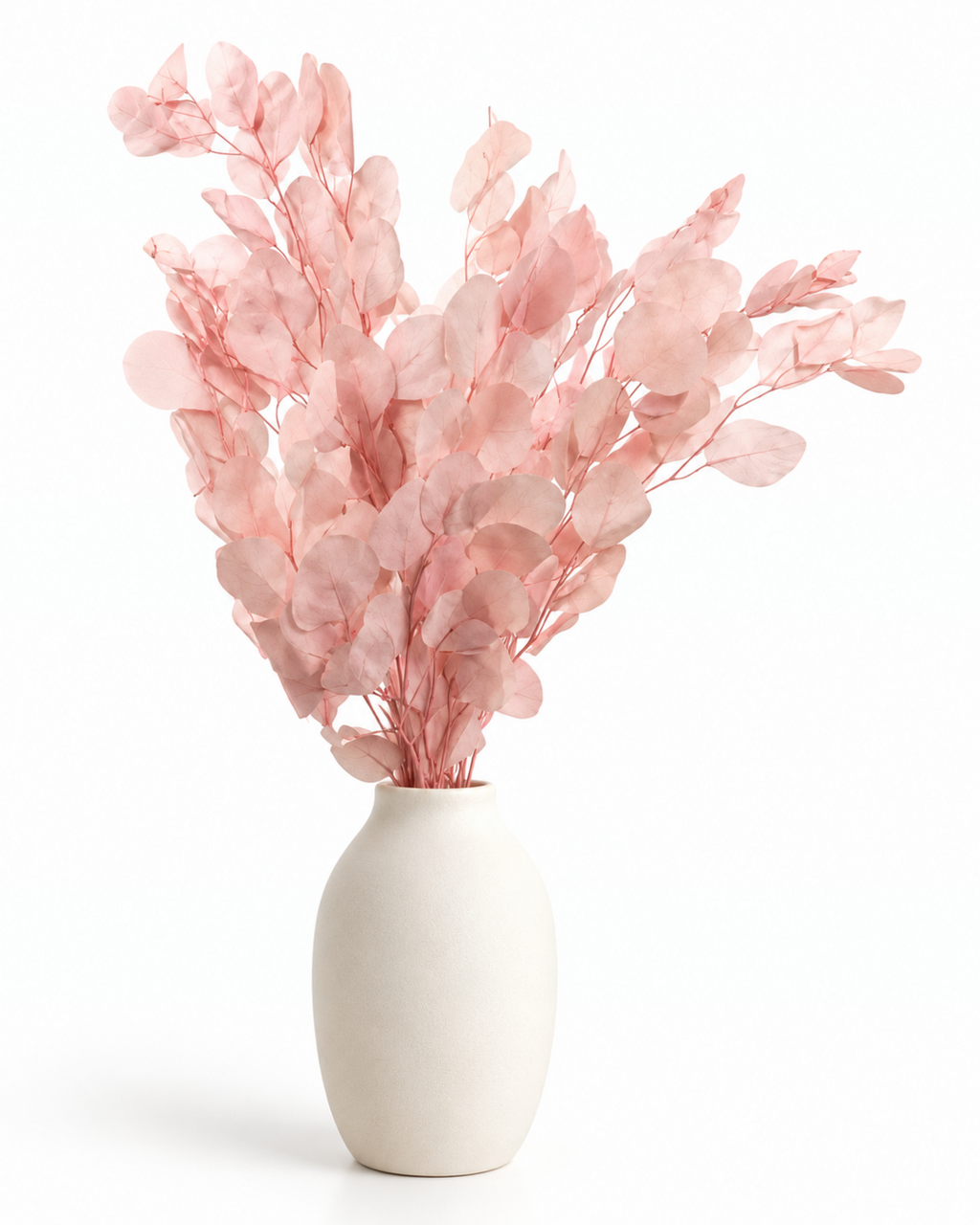 Preserved Populus Royal Eucalyptus Stems - Light Pink - 100 g / 60 cm