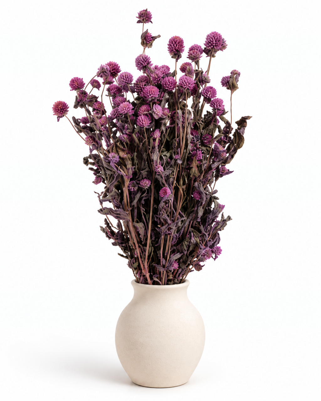 Pink Gomphrena Dried Flower Bouquet