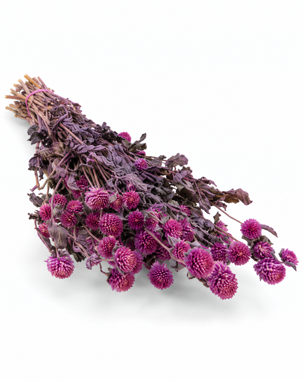 Pink Gomphrena Dried Flower Bouquet