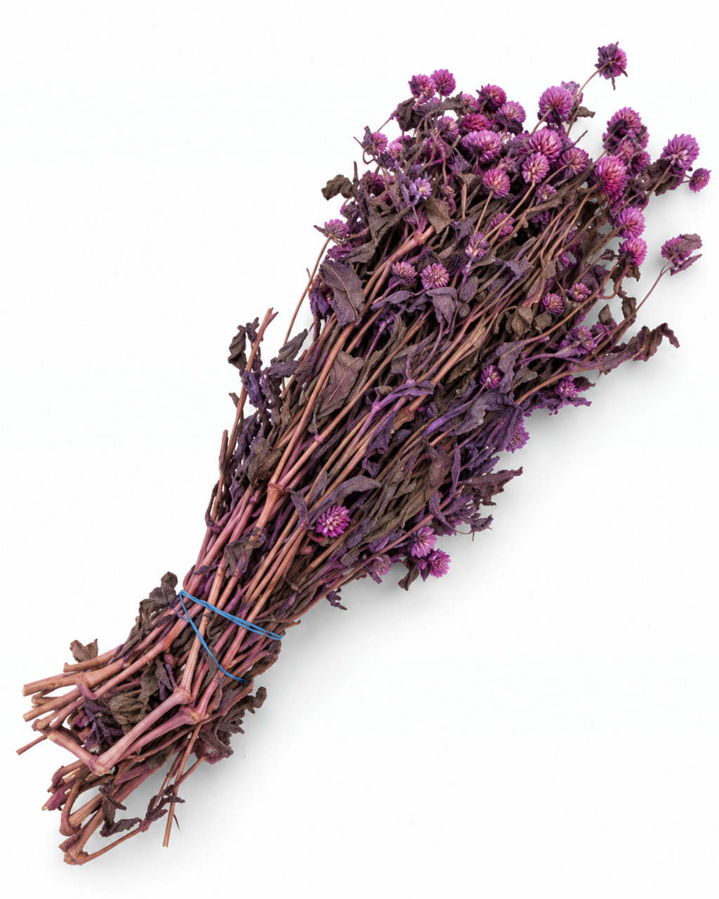 Pink Gomphrena Dried Flower Bouquet