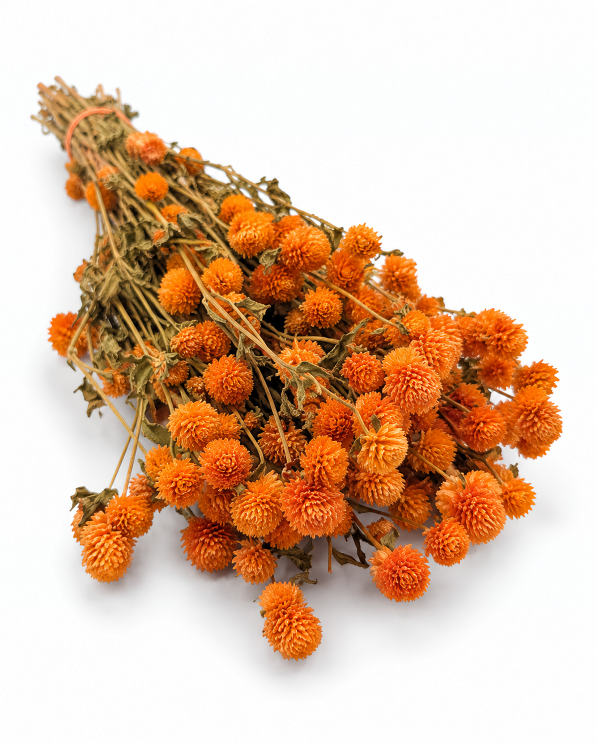 Dried Orange Globe Amaranth Bunch - Gomphrena Globosa - 110 g / 60 cm