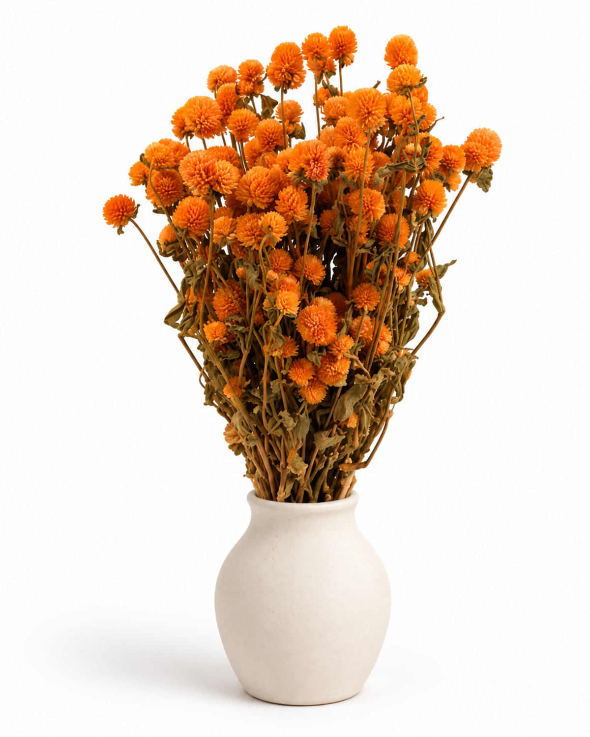 Dried Orange Globe Amaranth Bunch - Gomphrena Globosa - 110 g / 60 cm