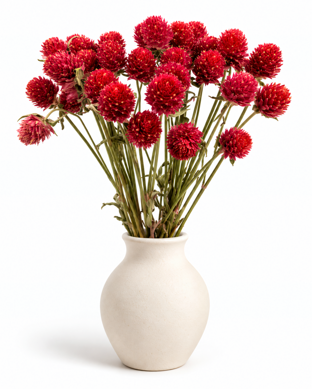 Dried Red Globe Amaranth Bouquet - Gomphrena Globosa - 45-50 g / 35 cm
