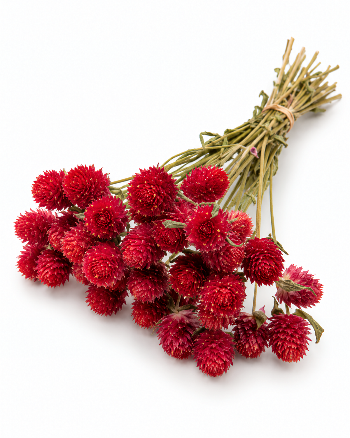 Dried Red Globe Amaranth Bouquet - Gomphrena Globosa - 45-50 g / 35 cm