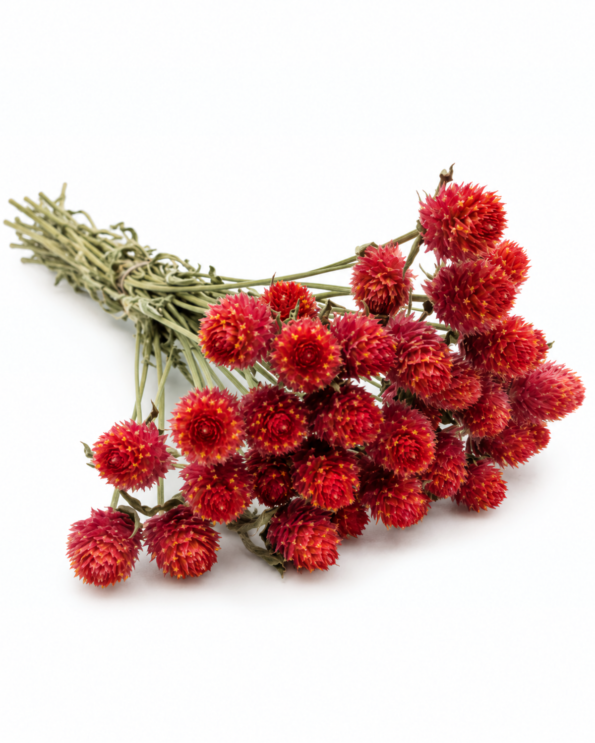 Dried Orange Globe Amaranth Bouquet - Gomphrena Globosa - 45-50 g / 35 cm