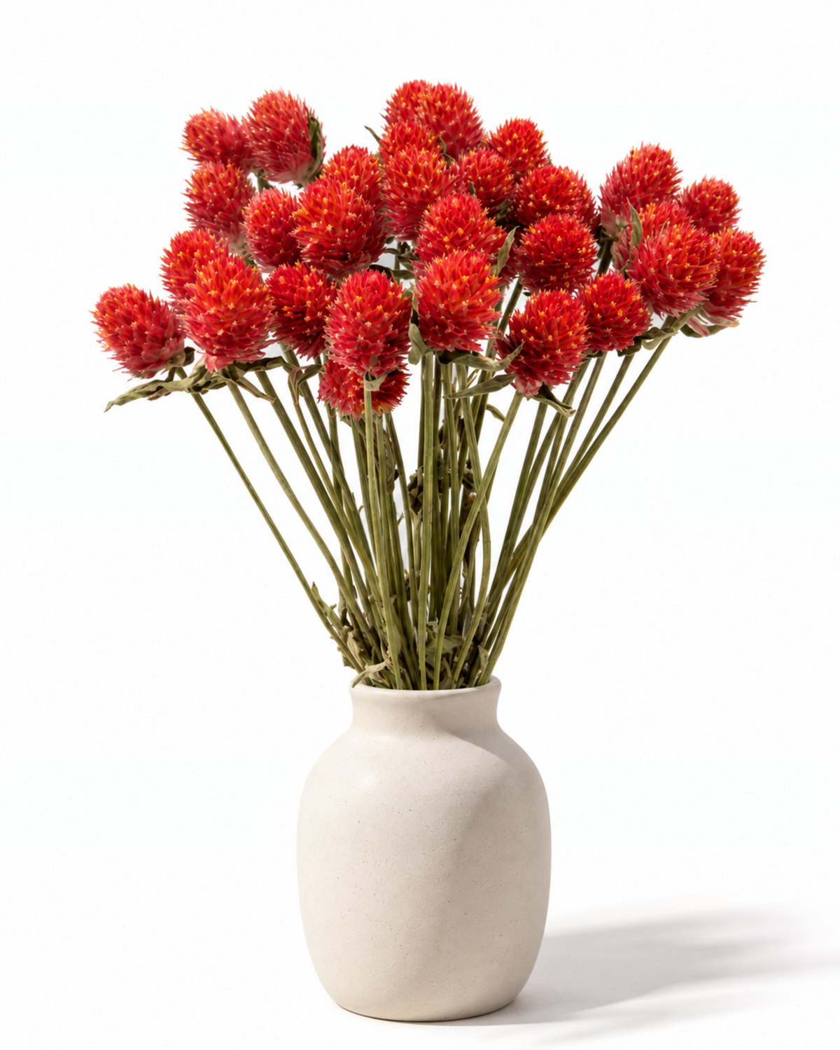 Dried Orange Globe Amaranth Bouquet - Gomphrena Globosa - 45-50 g / 35 cm