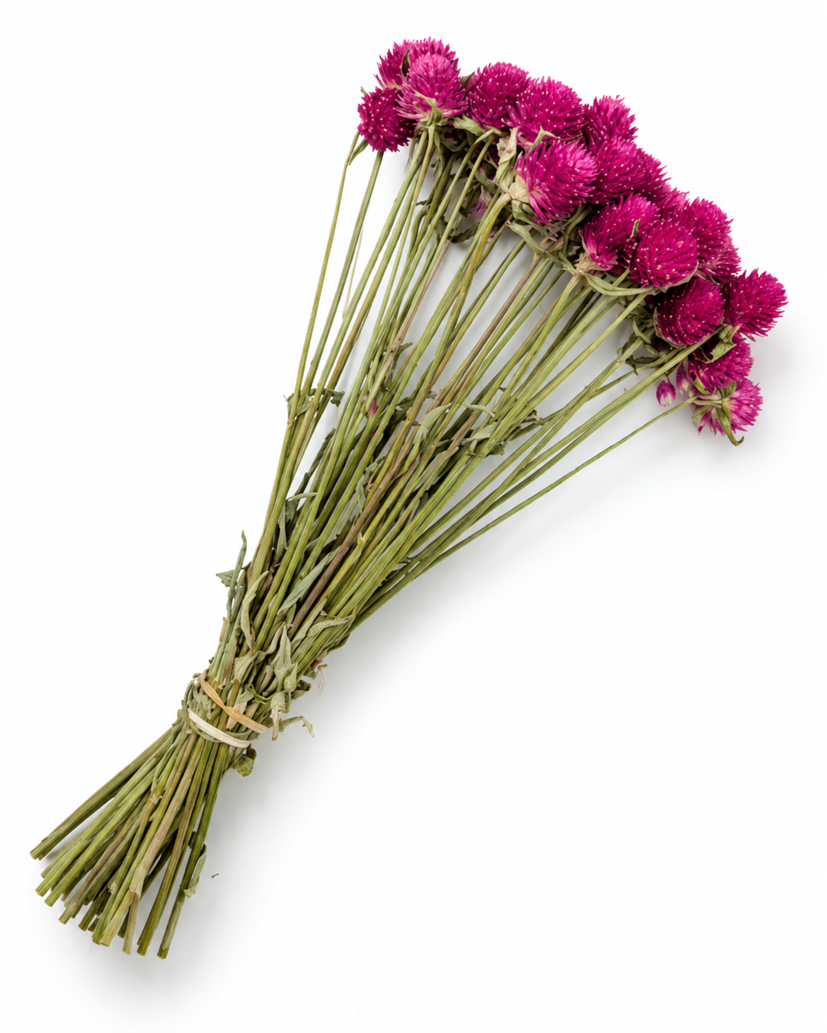 Dried Pink Globe Amaranth Bouquet - Gomphrena Globosa - 45-50 g / 35 cm