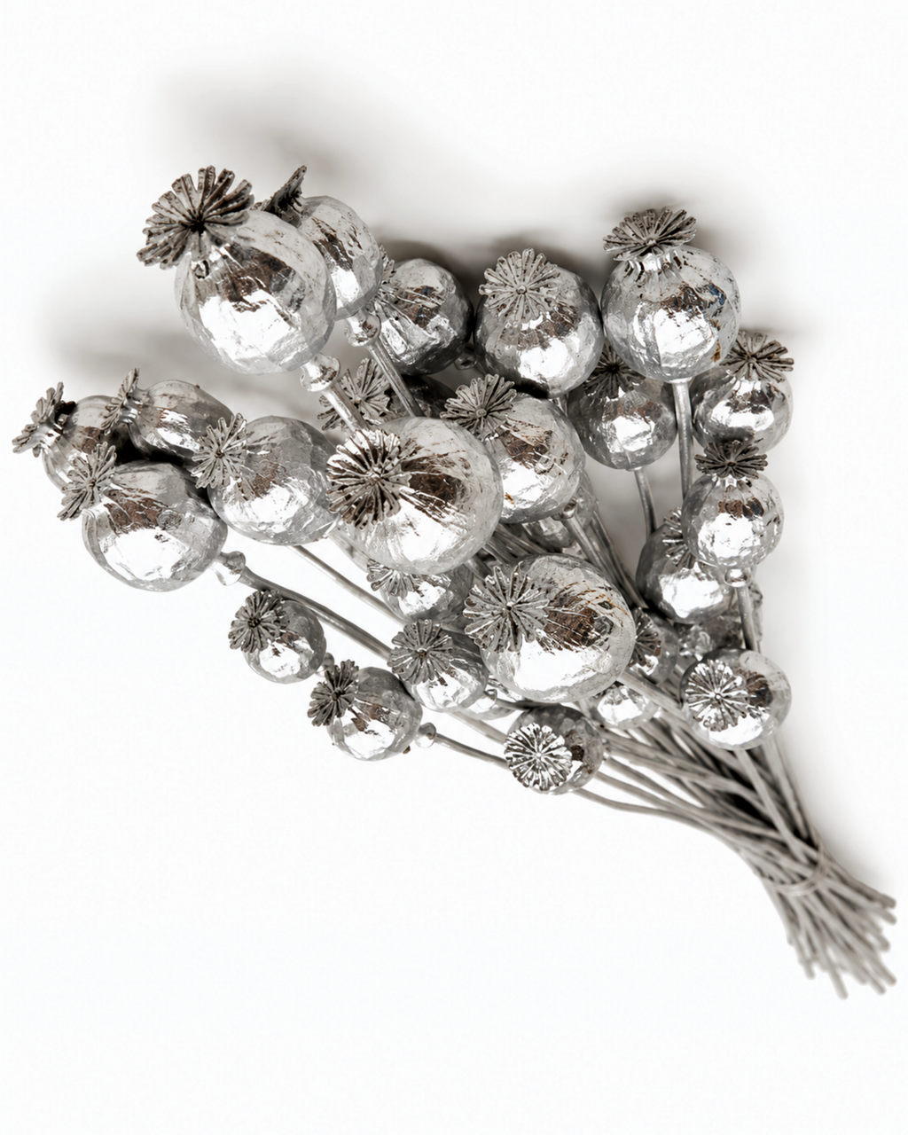 Dried Poppy Pod Bouquet 50-60cm - Natural Papaver Stems