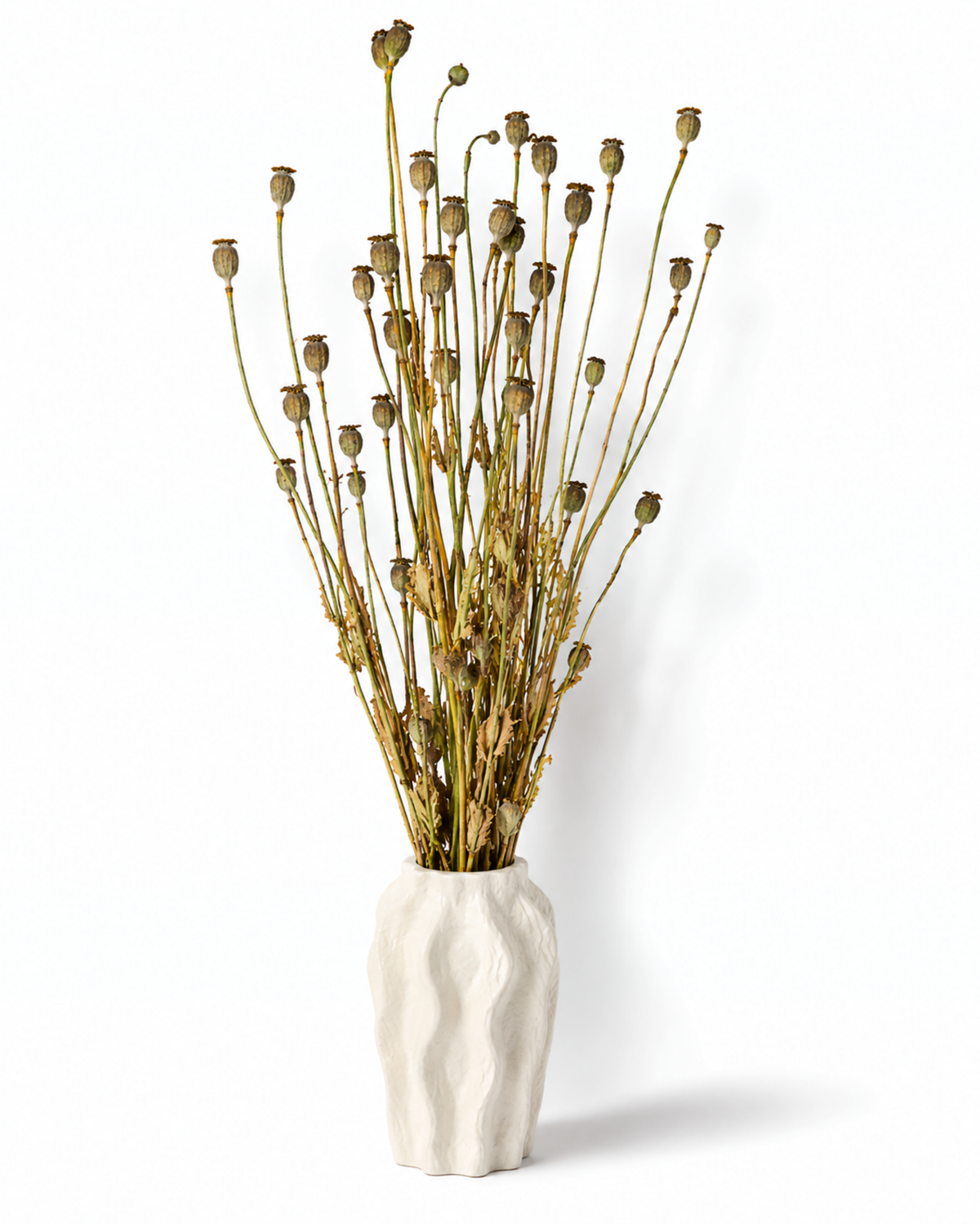 Natural Dried Poppy