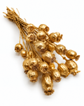Dried Gold Poppy Pods Bundle - Papaver - 135 g / 60 cm