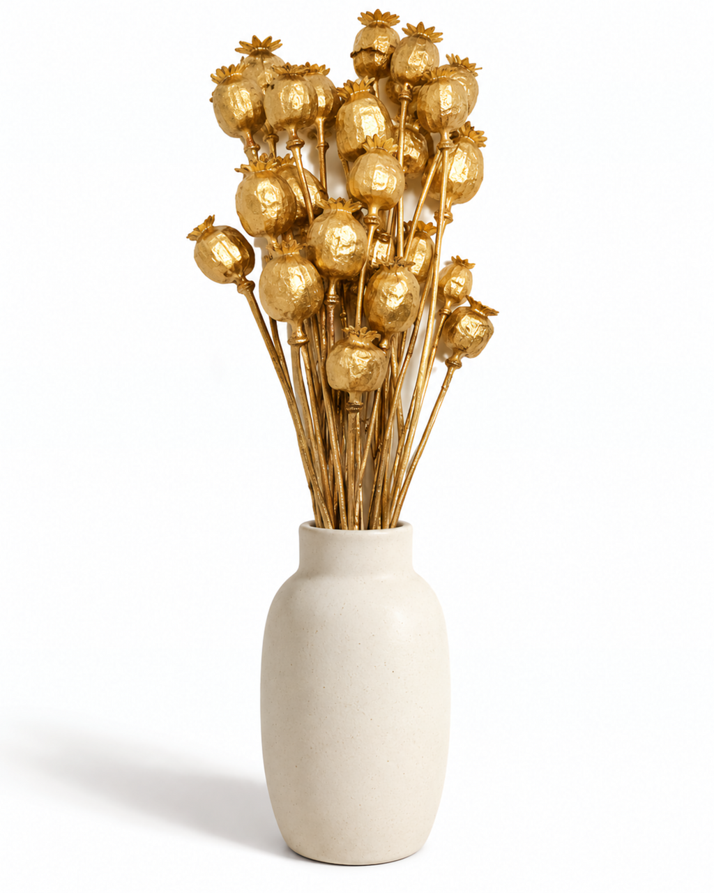 Dried Gold Poppy Pods Bundle - Papaver - 135 g / 60 cm