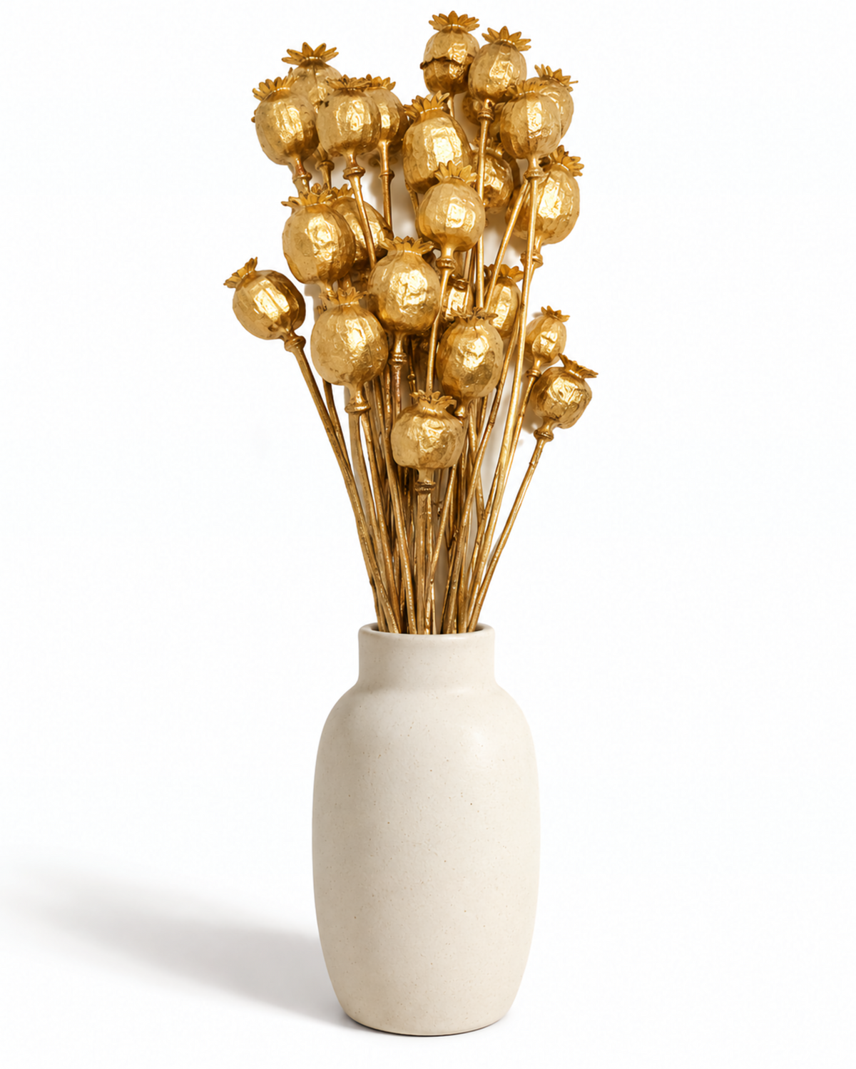 Dried Gold Poppy Pods Bundle - Papaver - 135 g / 60 cm