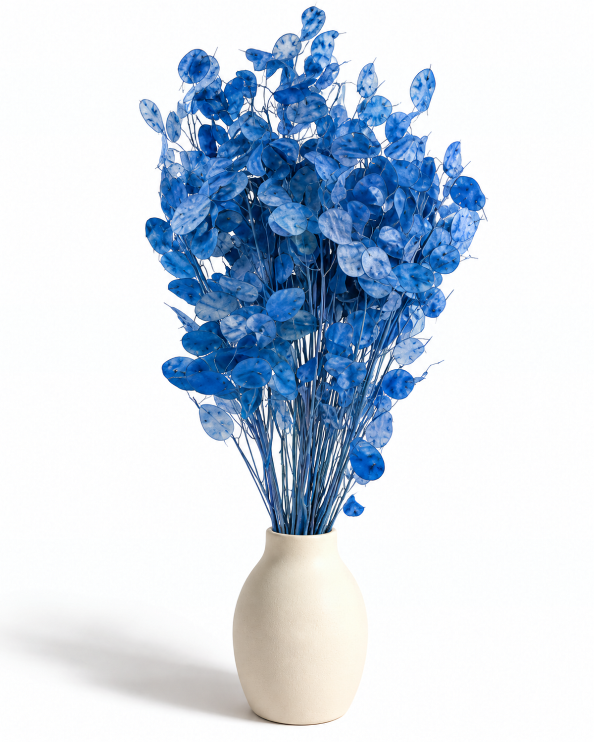 Dried Blue Lunaria Bunch - Honesty - Lunaria Annua - 50 g / 60 cm