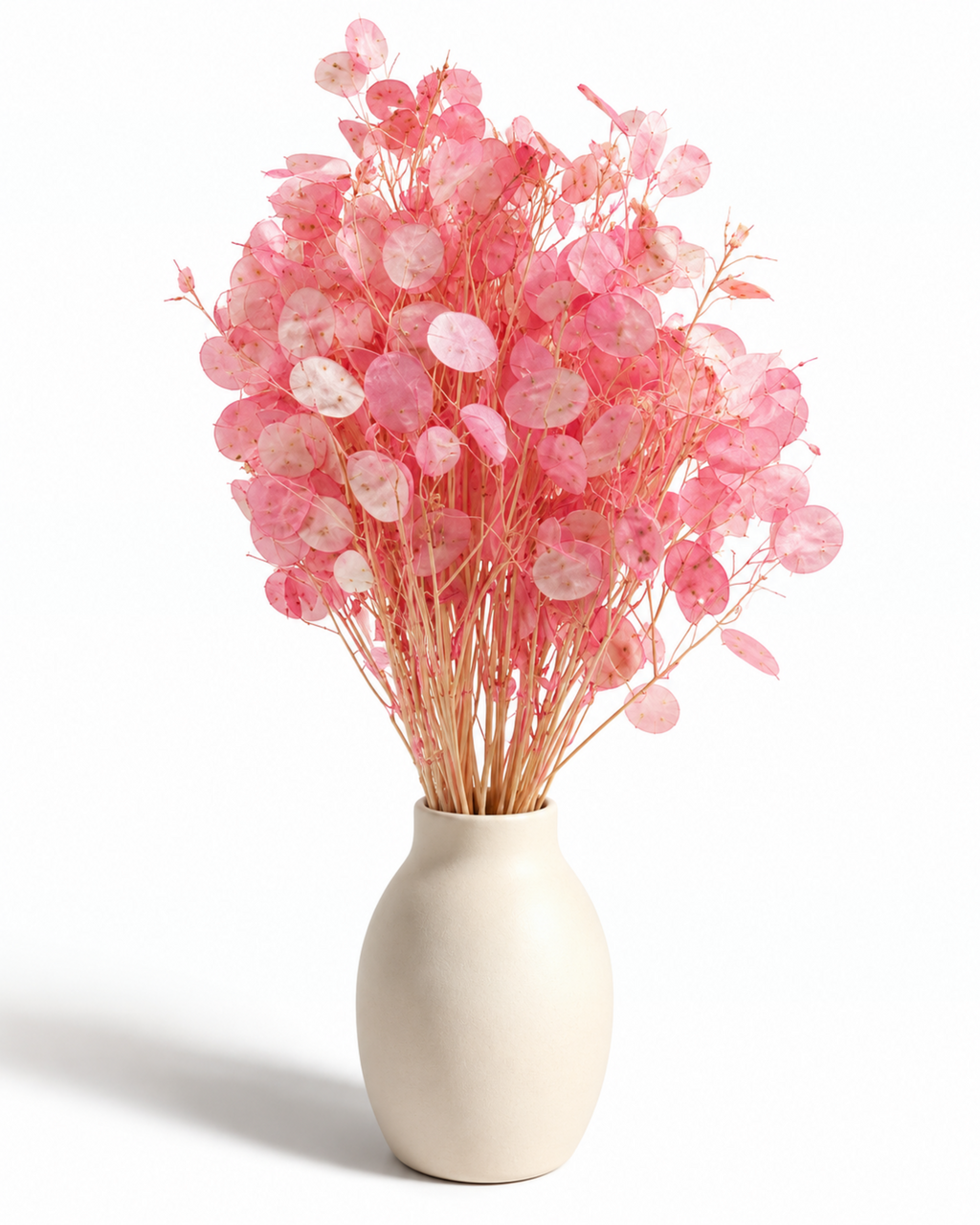 Dried Pink Lunaria Bunch - Honesty - Lunaria Annua - 50 g / 60 cm