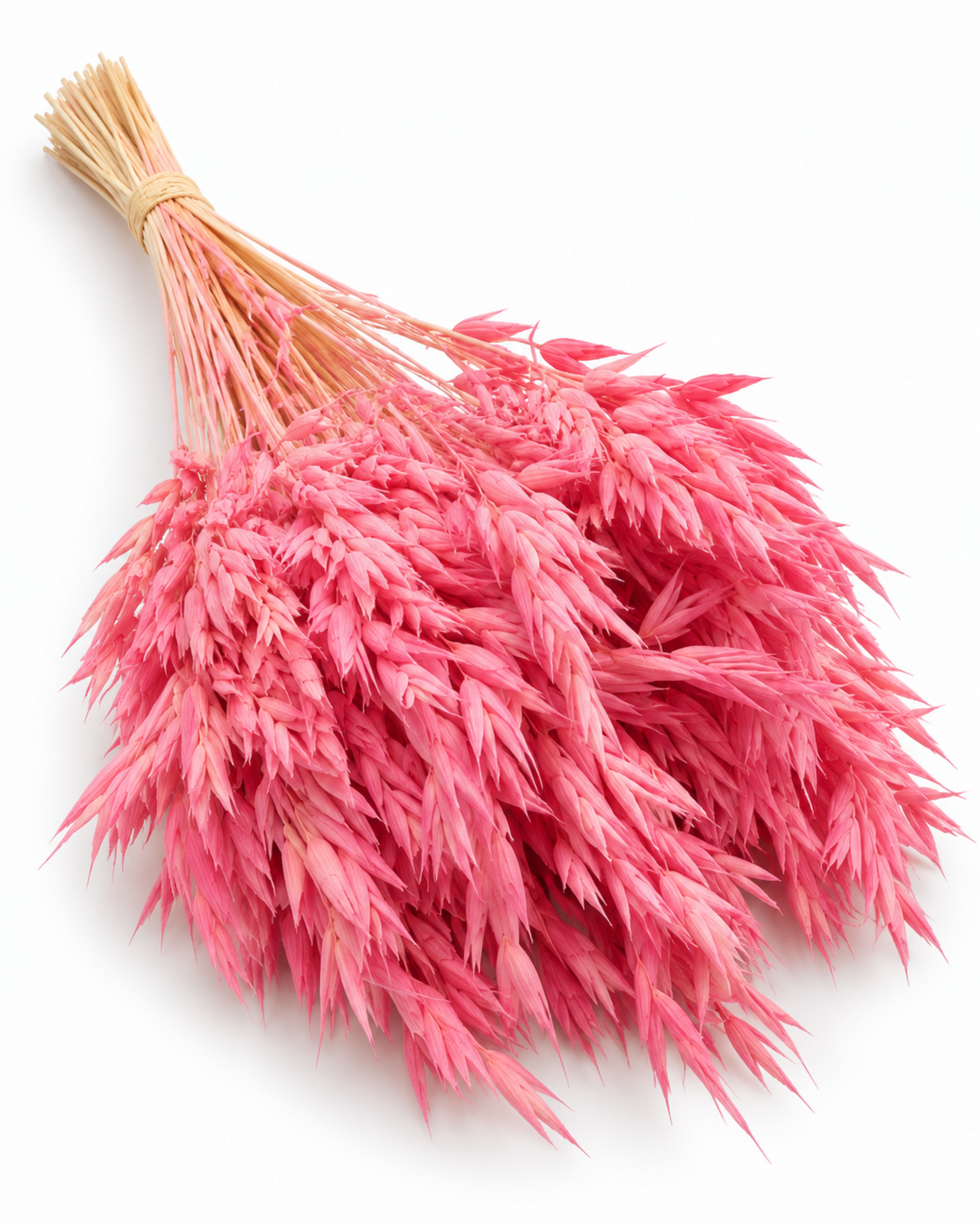 Dried Pink Oats Bunch - 100 g / 50 cm