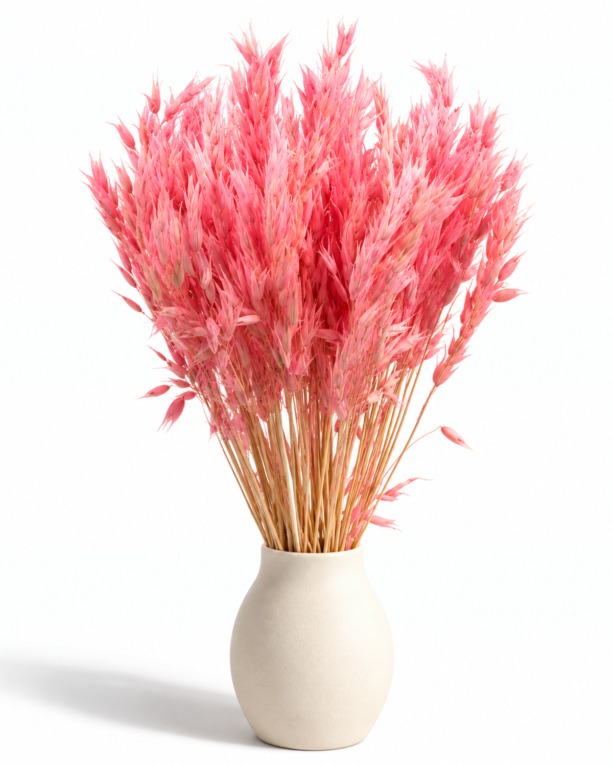 Dried Pink Oats Bunch - 100 g / 50 cm